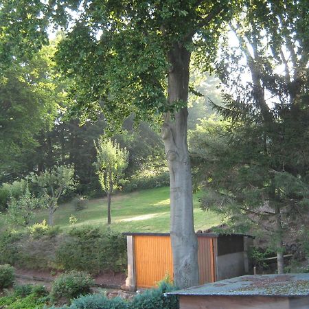 Ferienwohnung Sauerland Panorama Korbach Ngoại thất bức ảnh