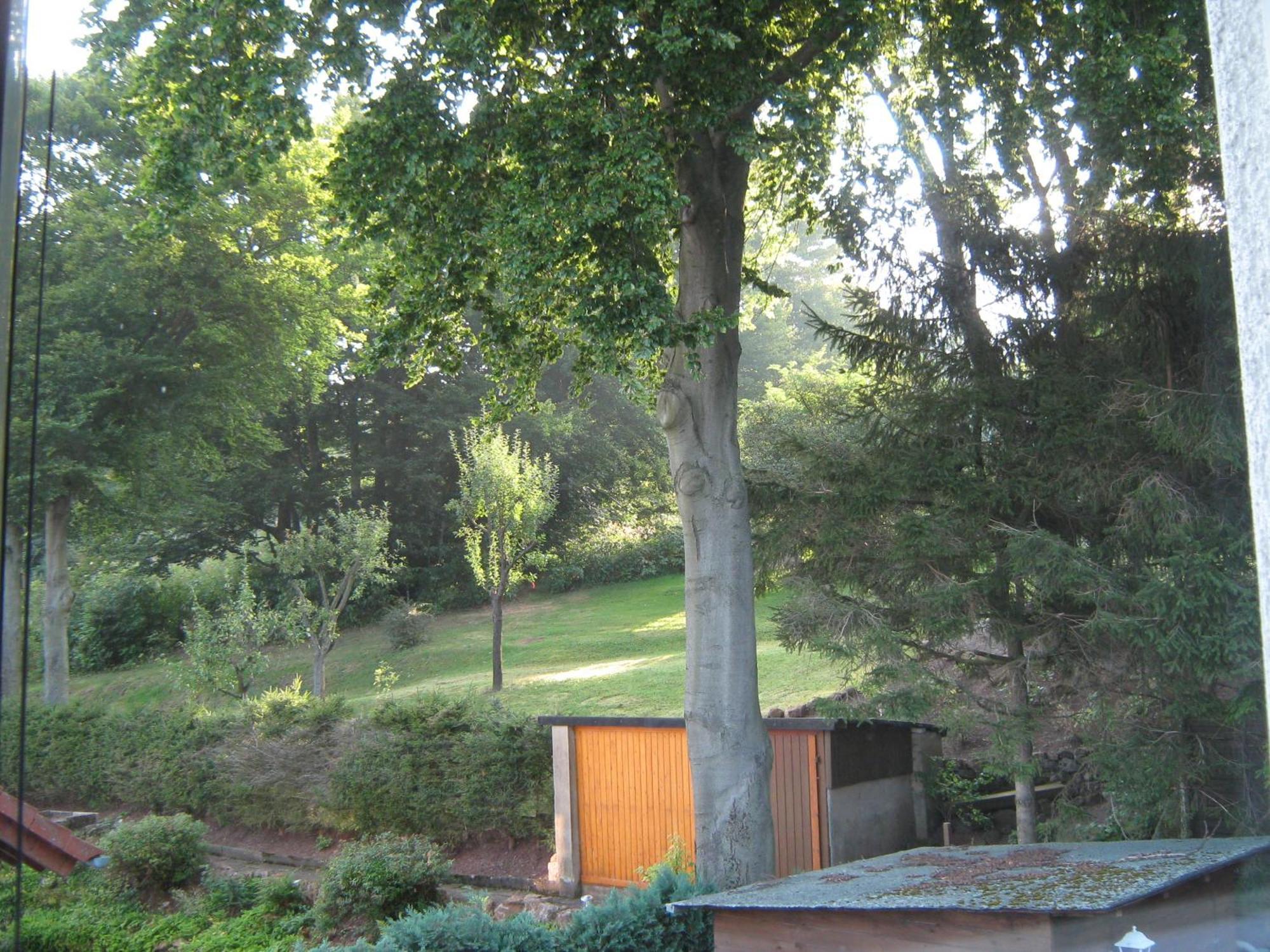 Ferienwohnung Sauerland Panorama Korbach Ngoại thất bức ảnh